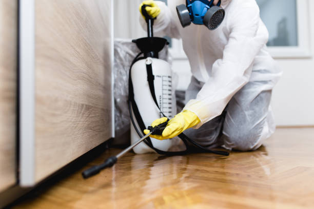 Best Affordable Pest Control Services  in Tehachapi, CA