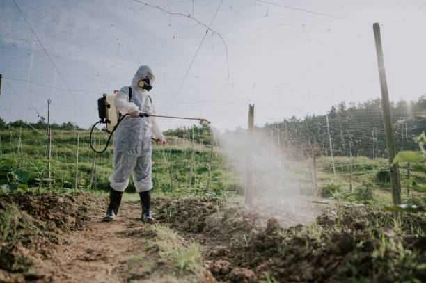 Best Local Pest Control Services  in Tehachapi, CA