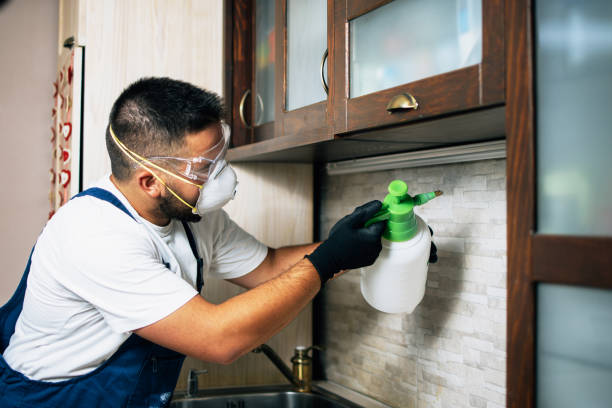 Professional Pest Control in Tehachapi, CA