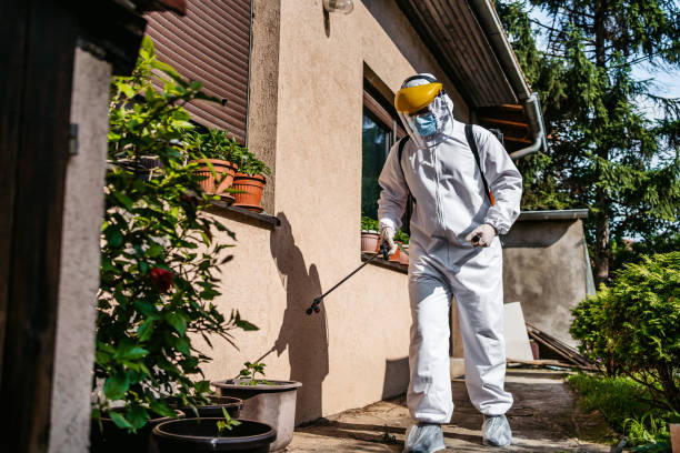 Best Local Pest Control Services  in Tehachapi, CA