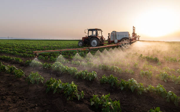 Best Best Pest Control Companies  in Tehachapi, CA