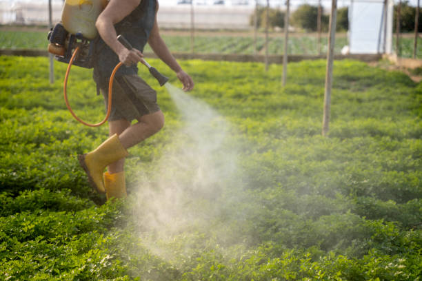 Best Pest Inspection Near Me  in Tehachapi, CA