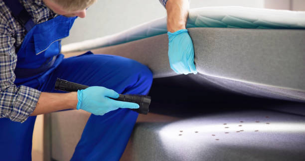Best Rat Extermination Near Me  in Tehachapi, CA