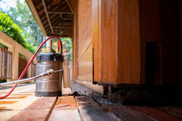 Best Emergency Pest Control  in Tehachapi, CA