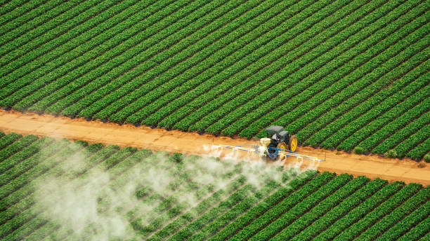Best Commercial Pest Control Services  in Tehachapi, CA